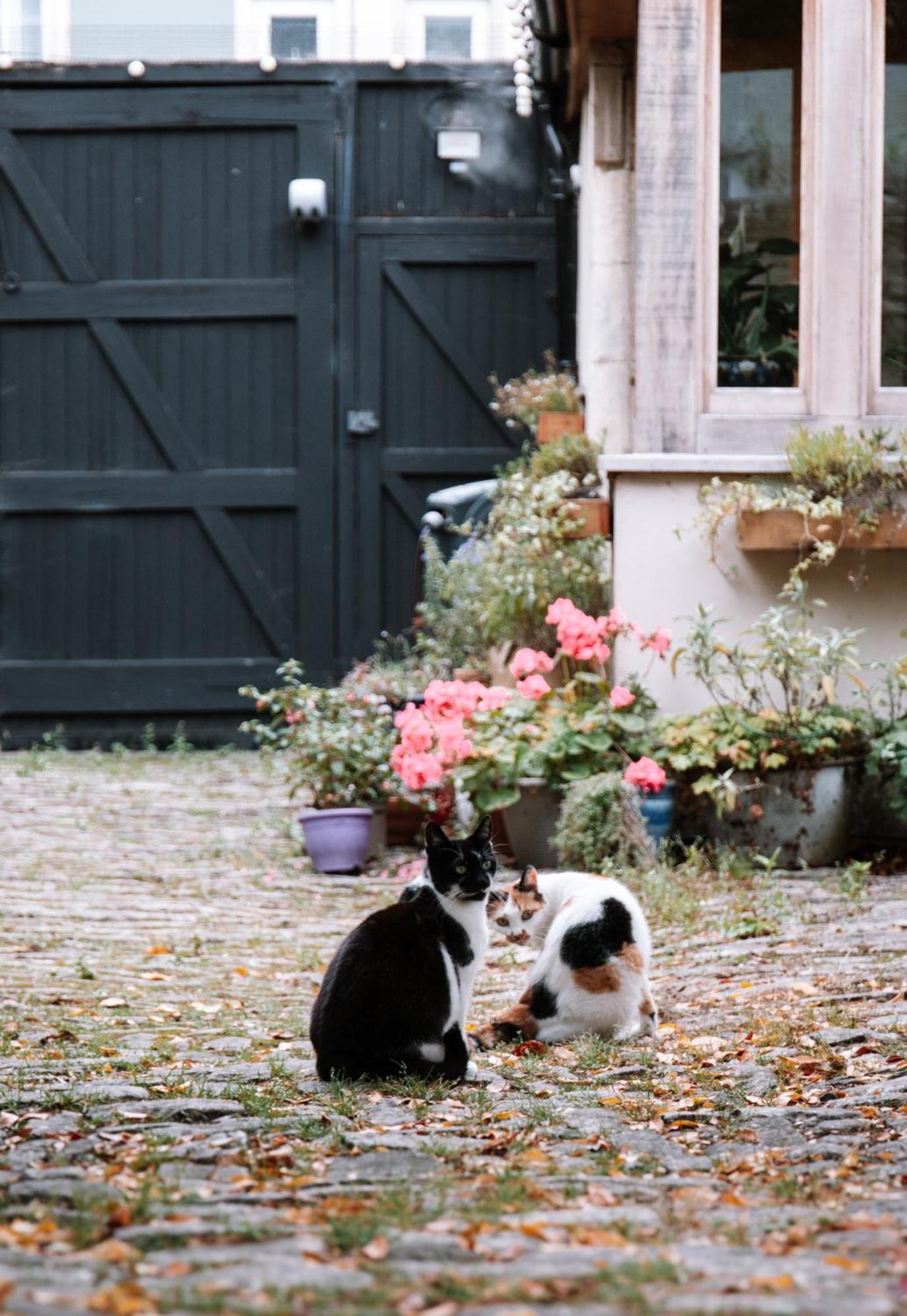 Longbridge House Bed and Breakfast Shepton Mallet Buitenkant foto
